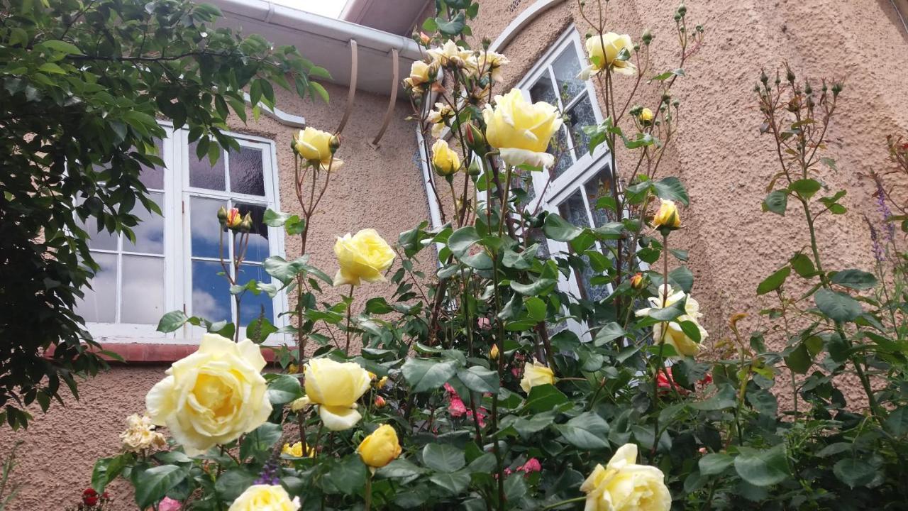 Chimneys B&B อามารู ภายนอก รูปภาพ